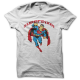 Super Pixel